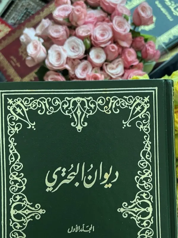 صور من تصنيف الأدب العربي والنوادر