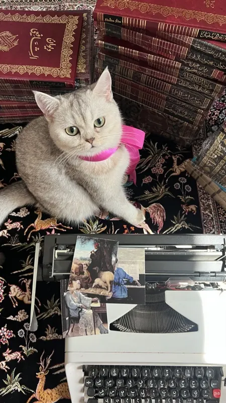 من أرفف مكتبة هيباتيا