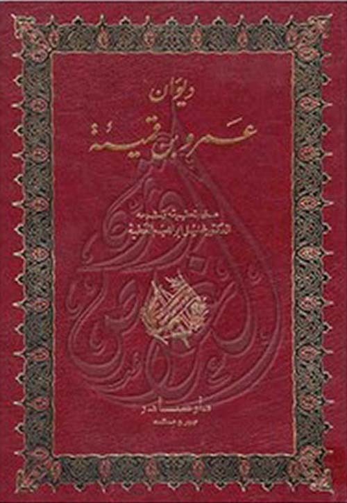 غلاف كتاب ديوان عمرو بن قميئة